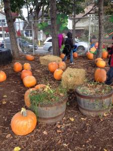 Pumpkin Patch 2013
