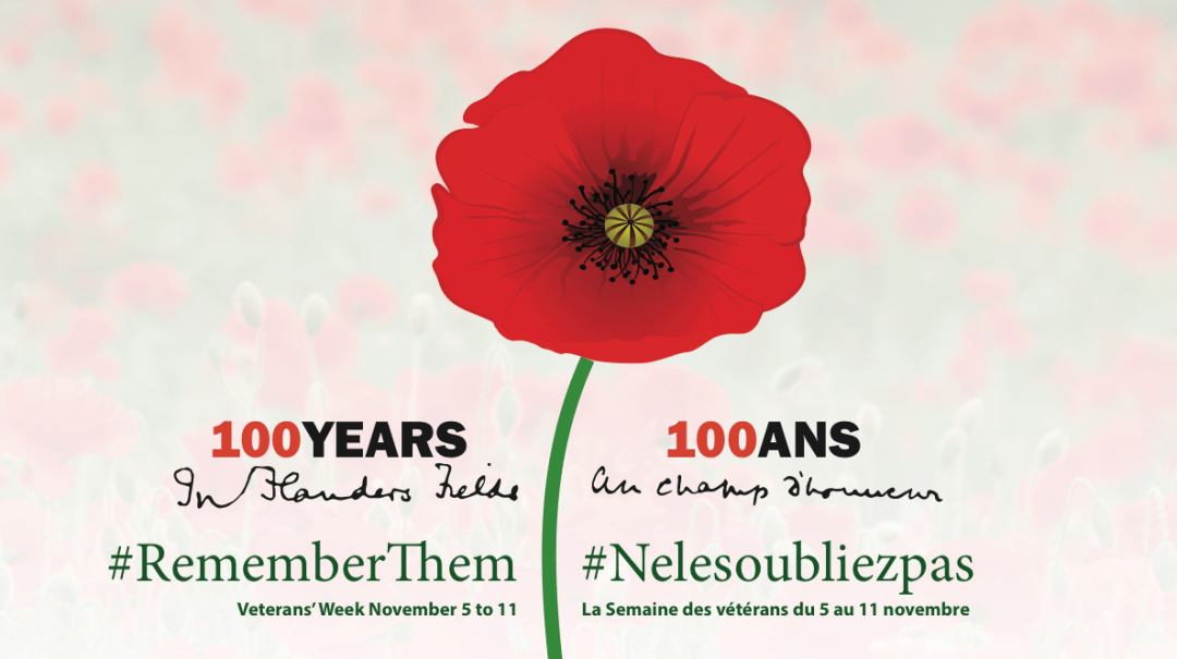 100 Year anniversary of the writing of In Flanders Fields